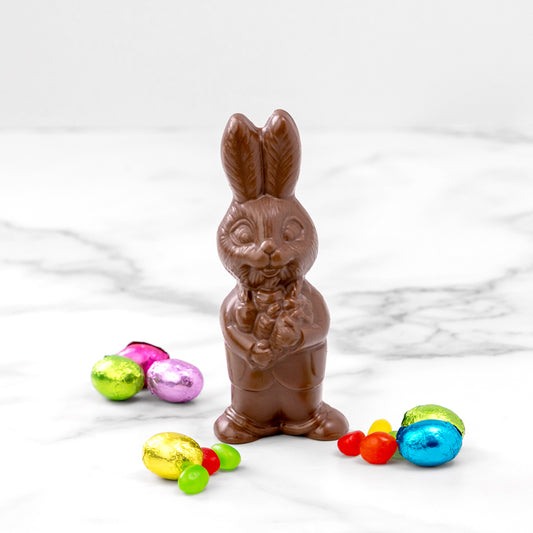 Boy Bunny